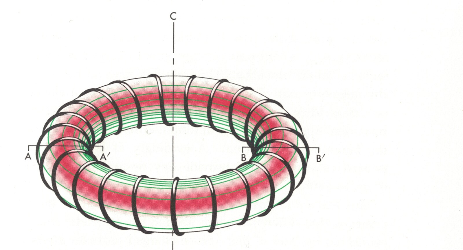 Diagram of a torus wrapped in external current-carrying field coils, containing red plasma and green field lines
